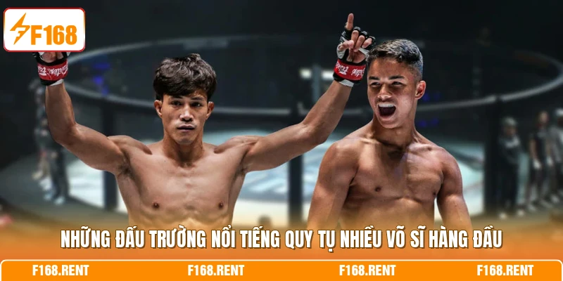 Những đấu trường nổi tiếng quy tụ nhiều võ sĩ hàng đầu